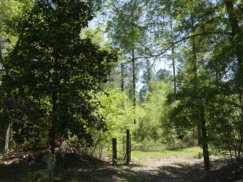 Brooklet Hideaway Photo