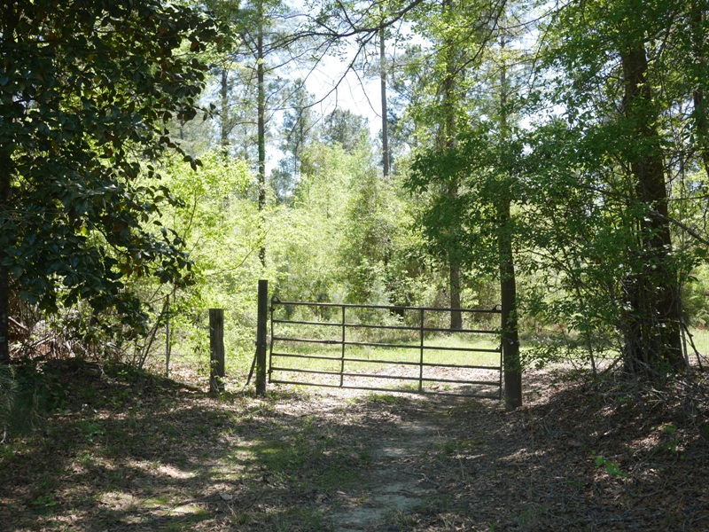 Brooklet Hideaway Photo