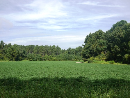 Cleary Road Tract 2 Photo