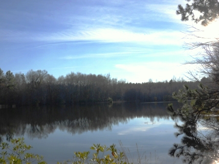 Brinson Pond Photo