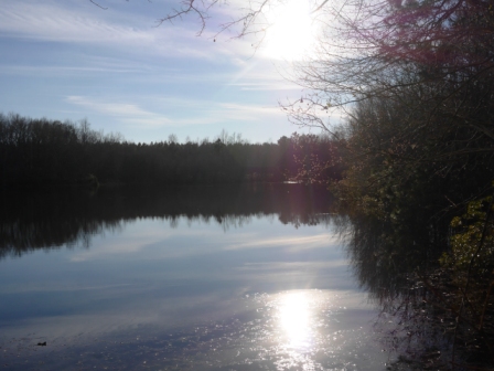 Brinson Pond Photo