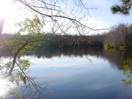 Brinson Pond Photo