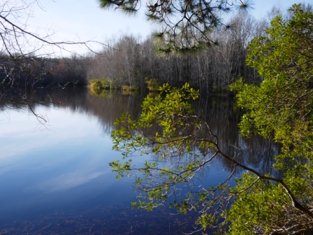 Brinson Pond Photo