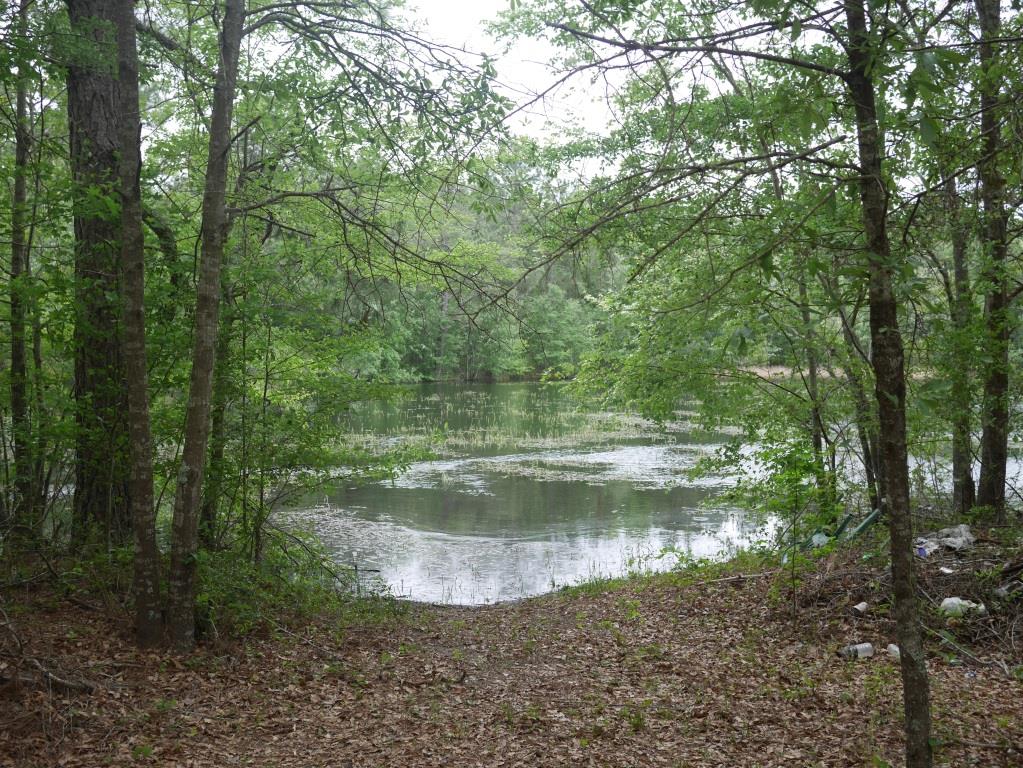 Brinson Pond Photo