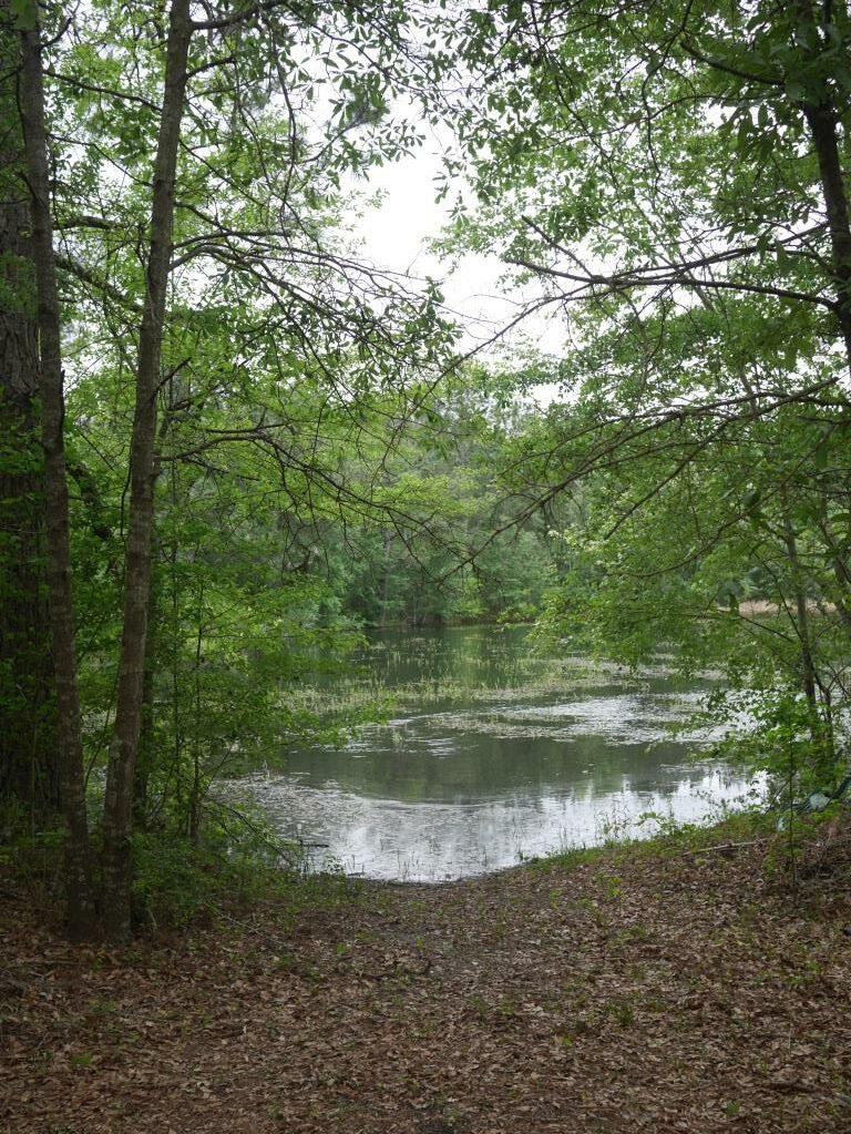 Brinson Pond Photo