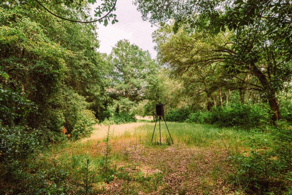 Sandhill Creek Photo