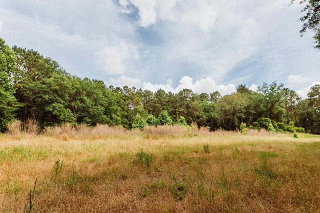 Sandhill Creek Photo