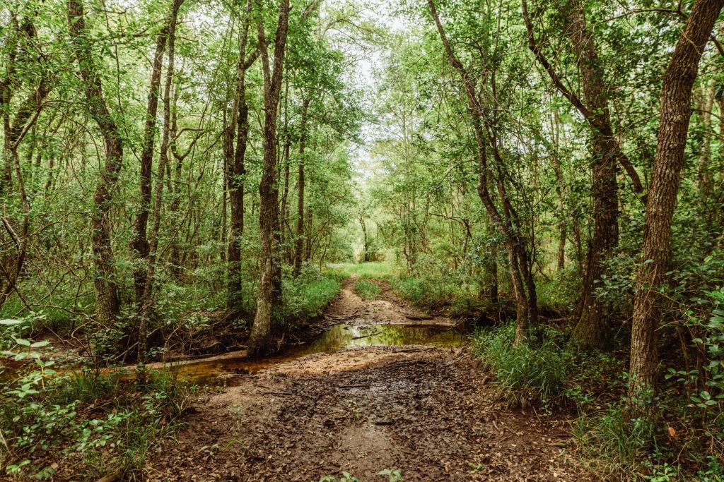 Sandhill Creek Photo