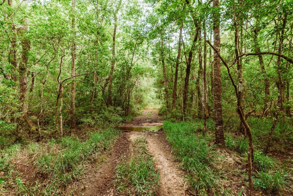 Sandhill Creek Photo