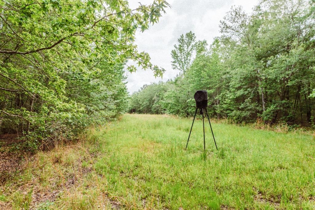 Sandhill Creek Photo