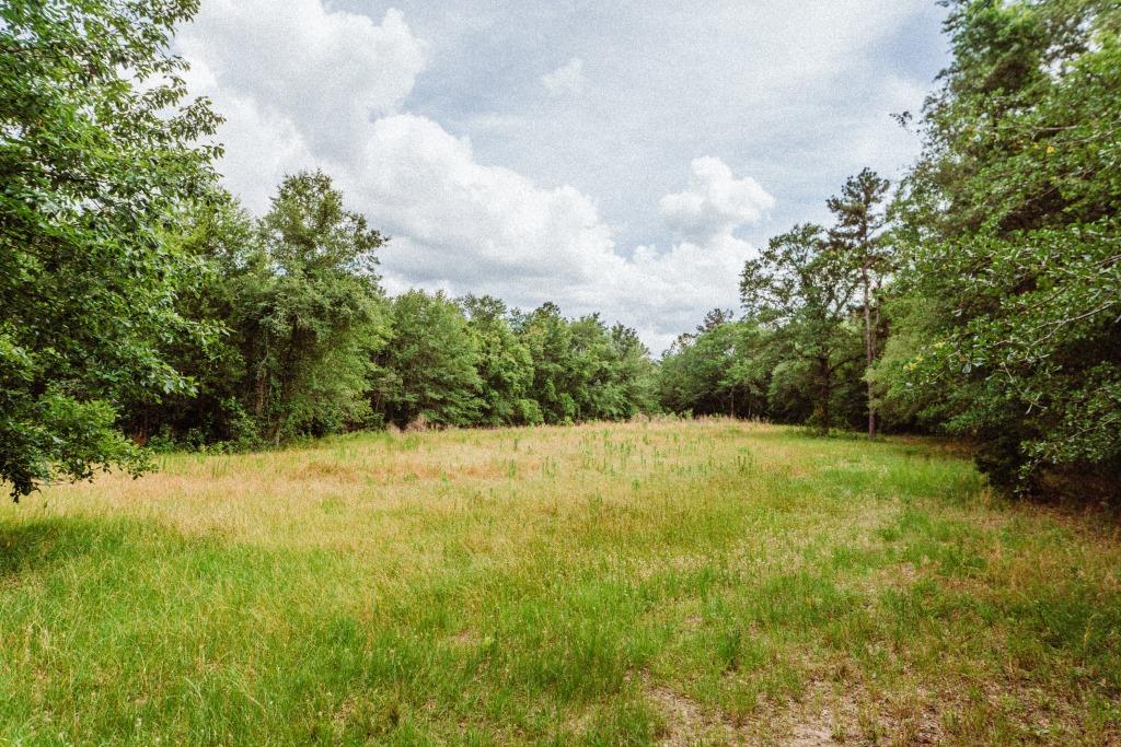 Sandhill Creek Photo