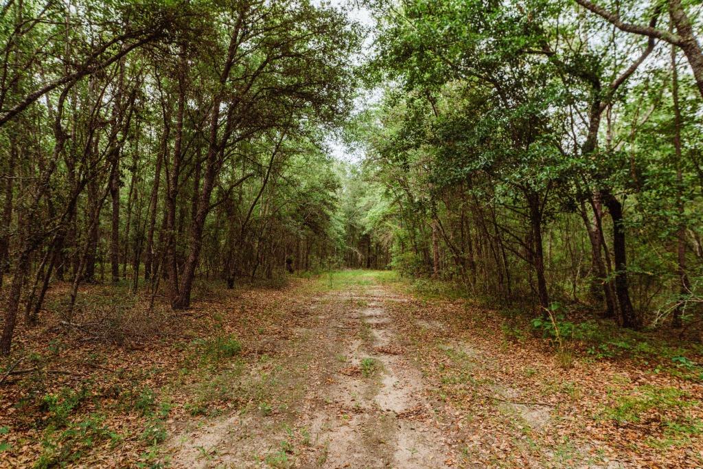 Sandhill Creek Photo