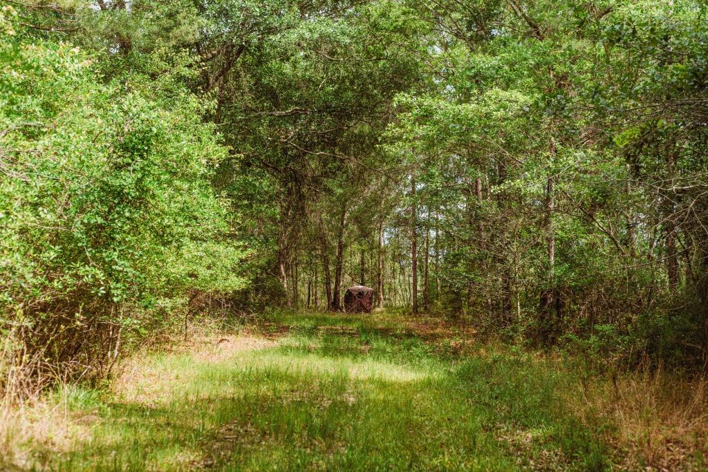 Sandhill Creek Photo