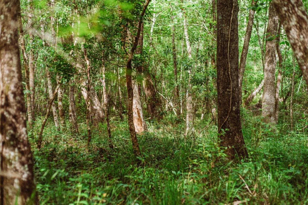 Sandhill Creek Photo