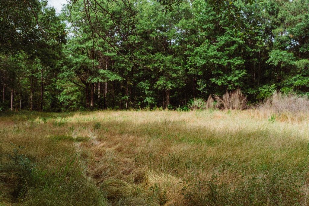 Sandhill Creek Photo