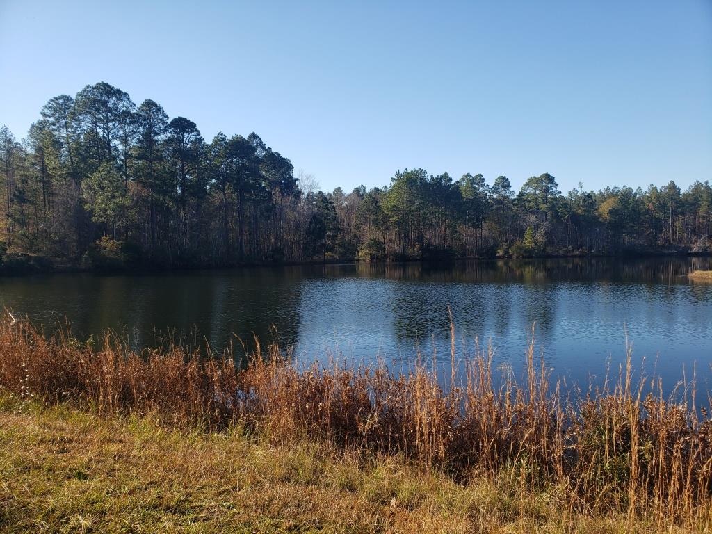 Trout Trail Triangle Photo