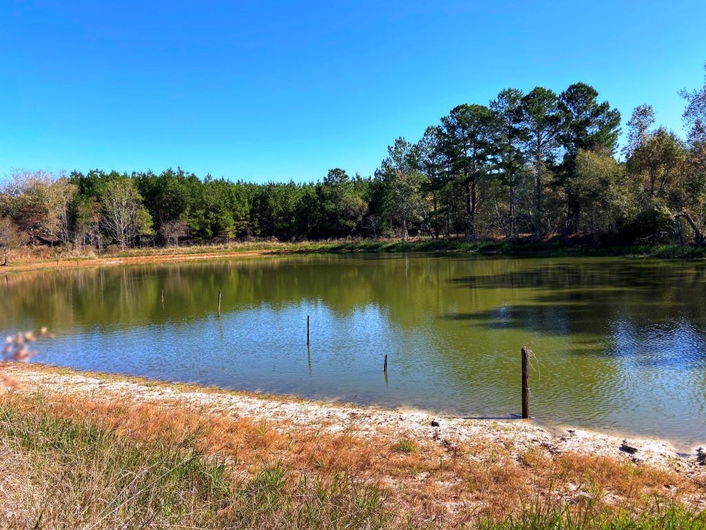 Quail Road Cattle Farm Photo