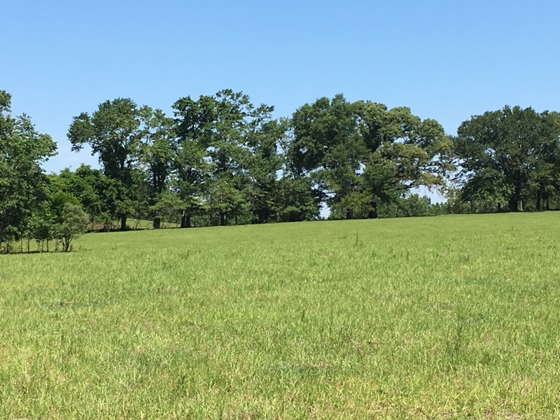 Quail Road Cattle Farm Photo