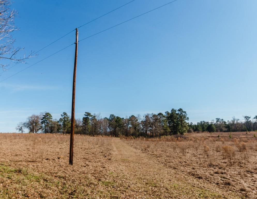 Sherrod Branch Photo