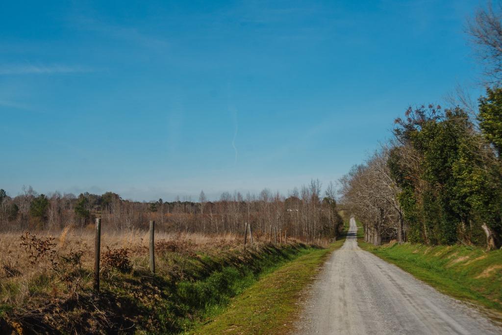 Sherrod Branch Photo