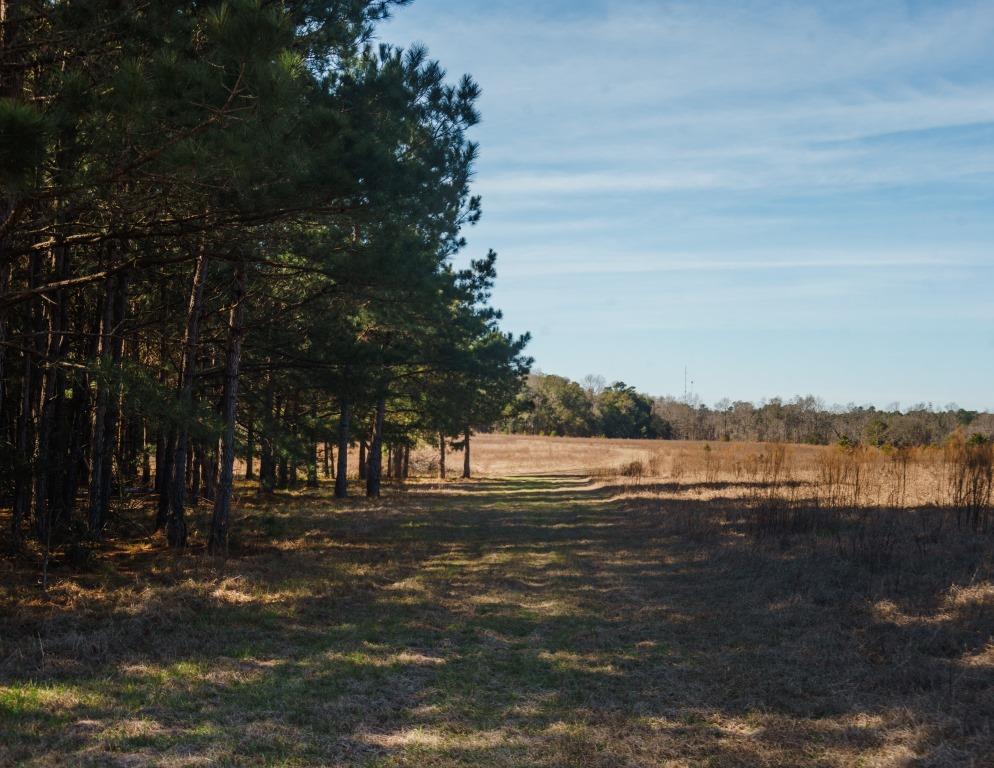 Sherrod Branch Photo