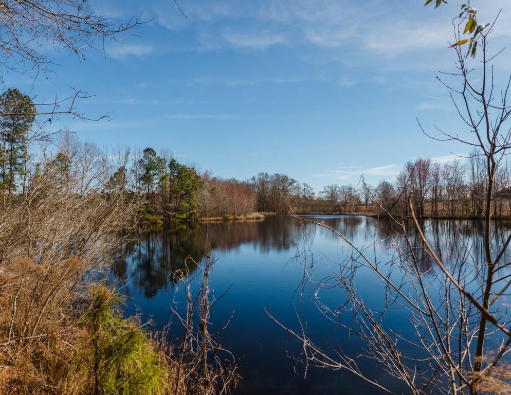 Sherrod Branch Photo