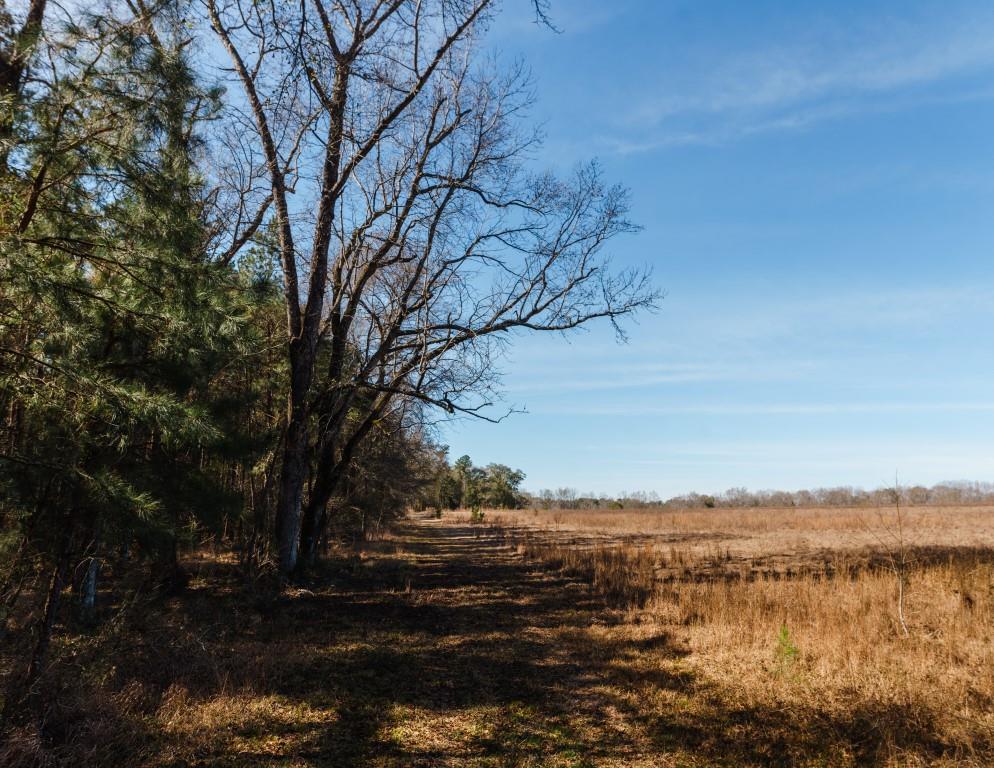 Sherrod Branch Photo