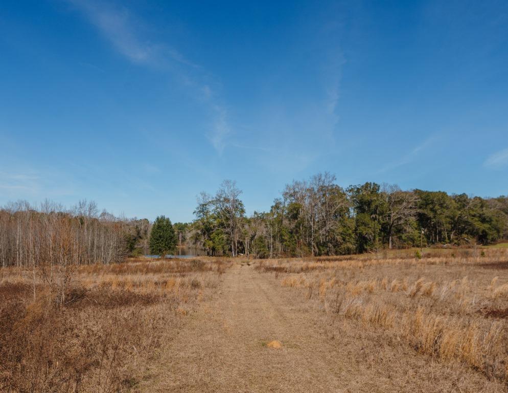 Sherrod Branch Photo