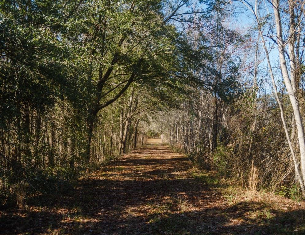 Sherrod Branch Photo