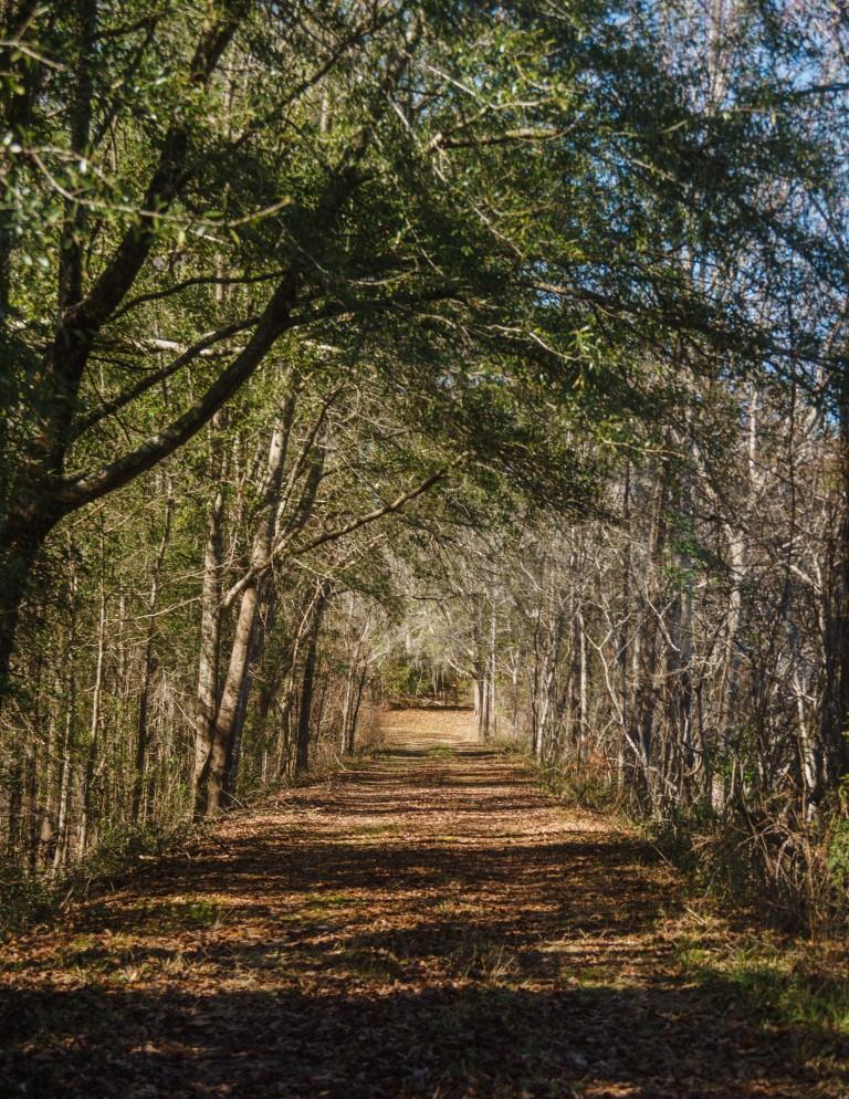 Sherrod Branch Photo