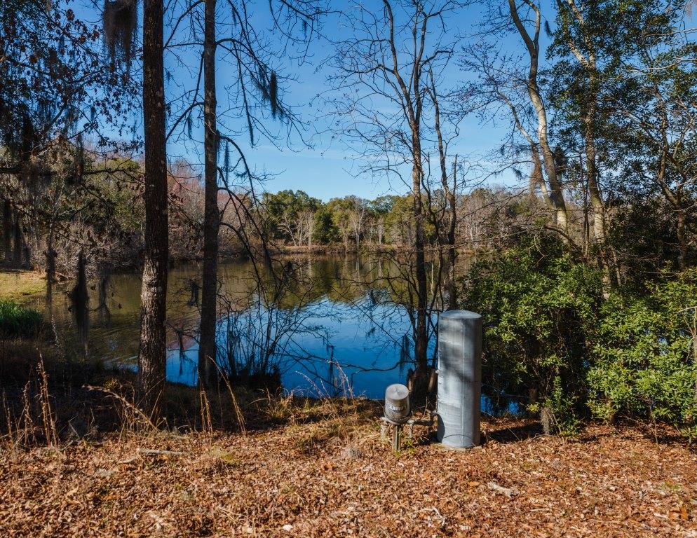 Sherrod Branch Photo