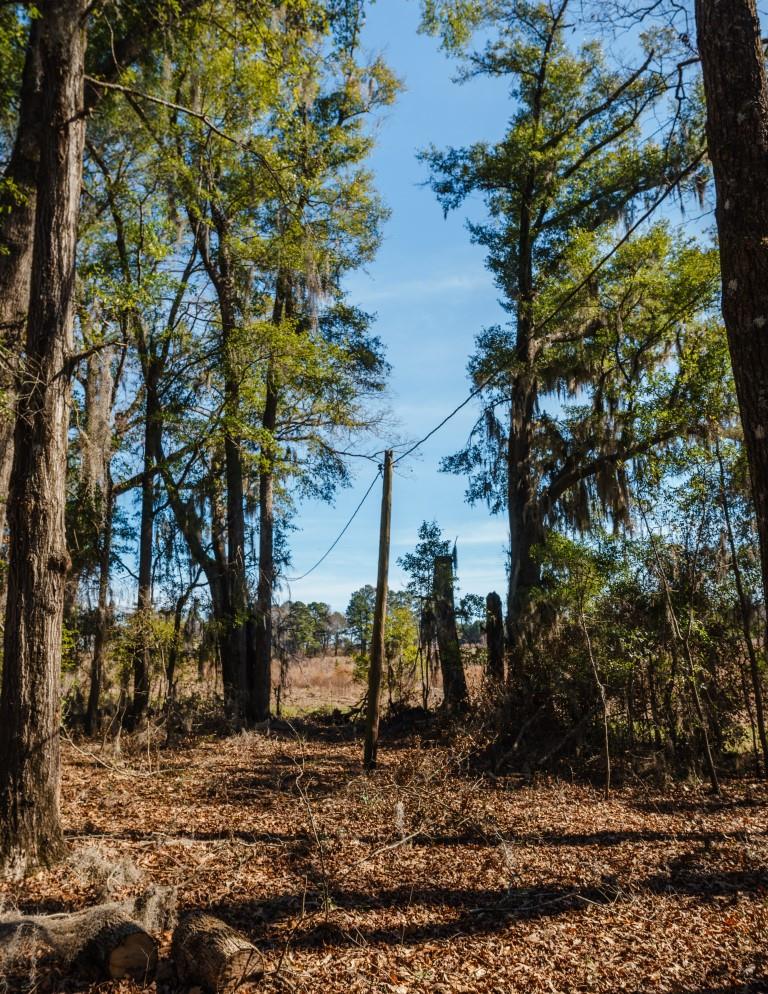 Sherrod Branch Photo