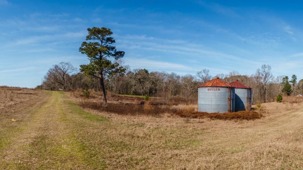 Sherrod Branch Photo