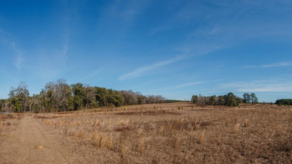 Sherrod Branch Photo