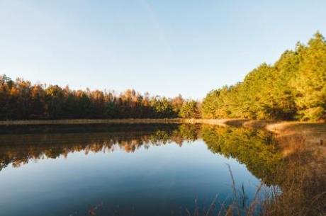 Thompson Pond