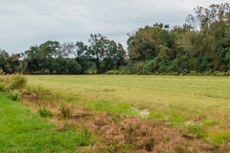 Baxter Durrence Farm