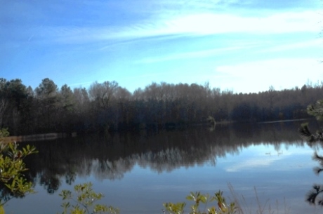 Brinson Pond