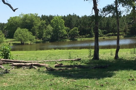 Quail Road Cattle Farm