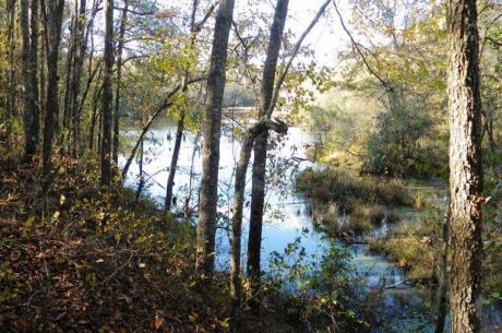 Beaver Dam Pond