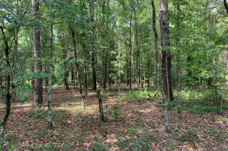 Richardson Creek Tract