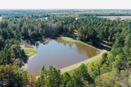 Bobwhite Pines