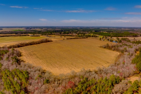 Kennedy Bridge Farm