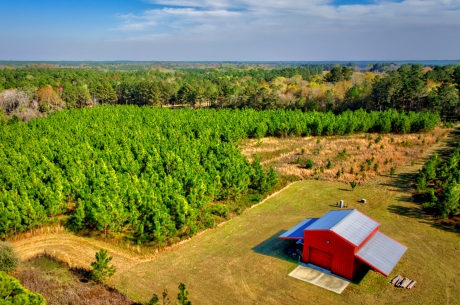 Toombs Mini Farm