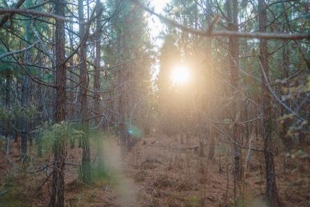 Crooked Creek Photo