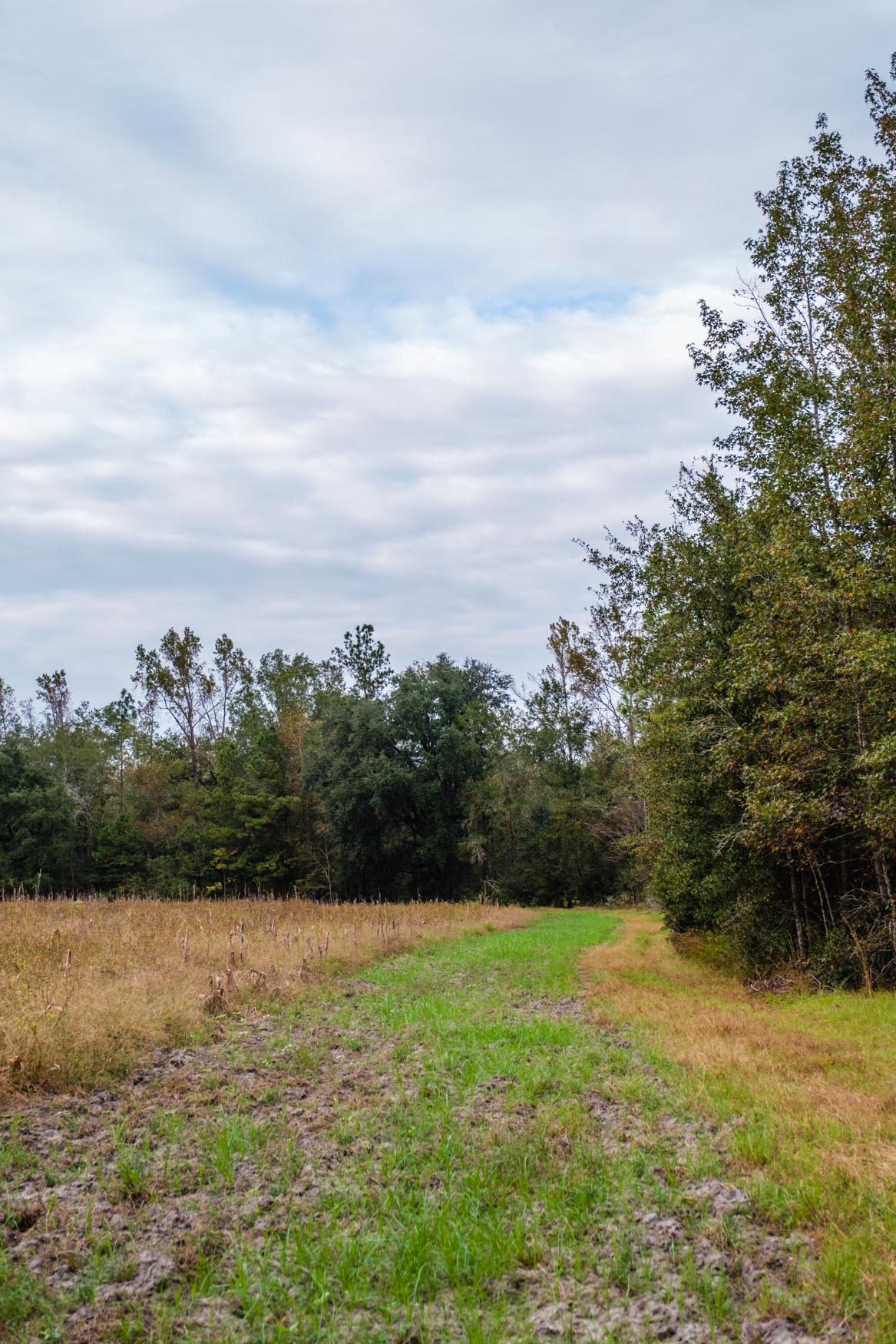 Baxter Durrence Farm Photo