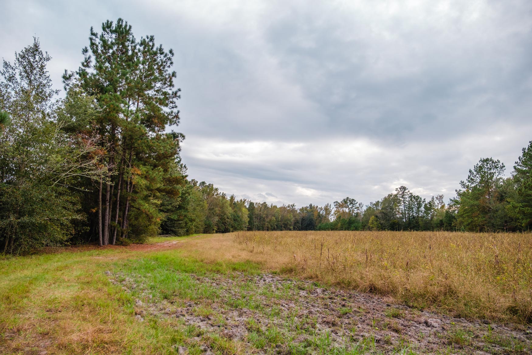 Baxter Durrence Farm Photo