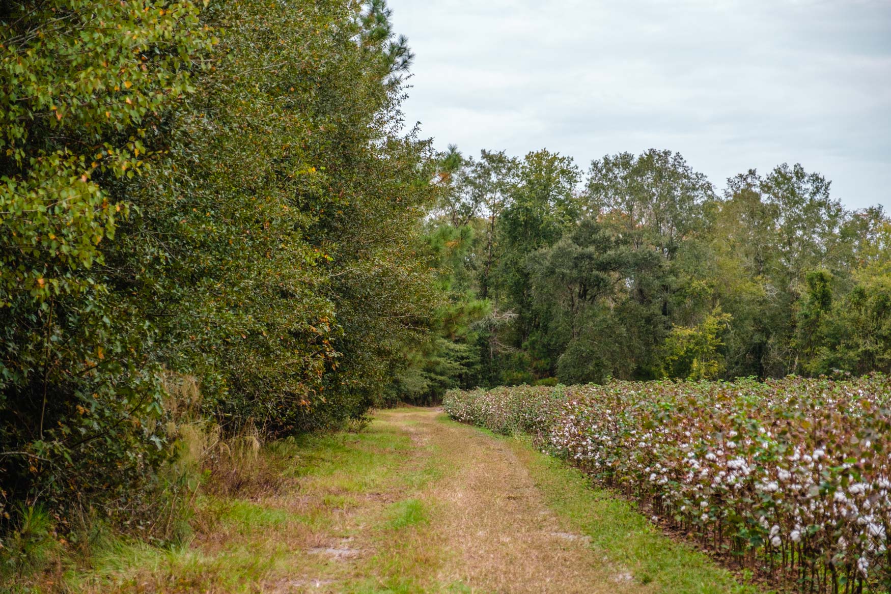 Baxter Durrence Farm Photo