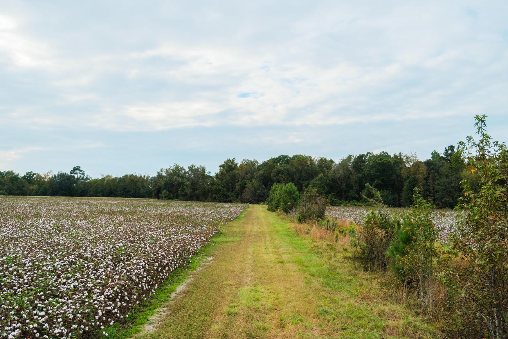 Baxter Durrence Farm Photo