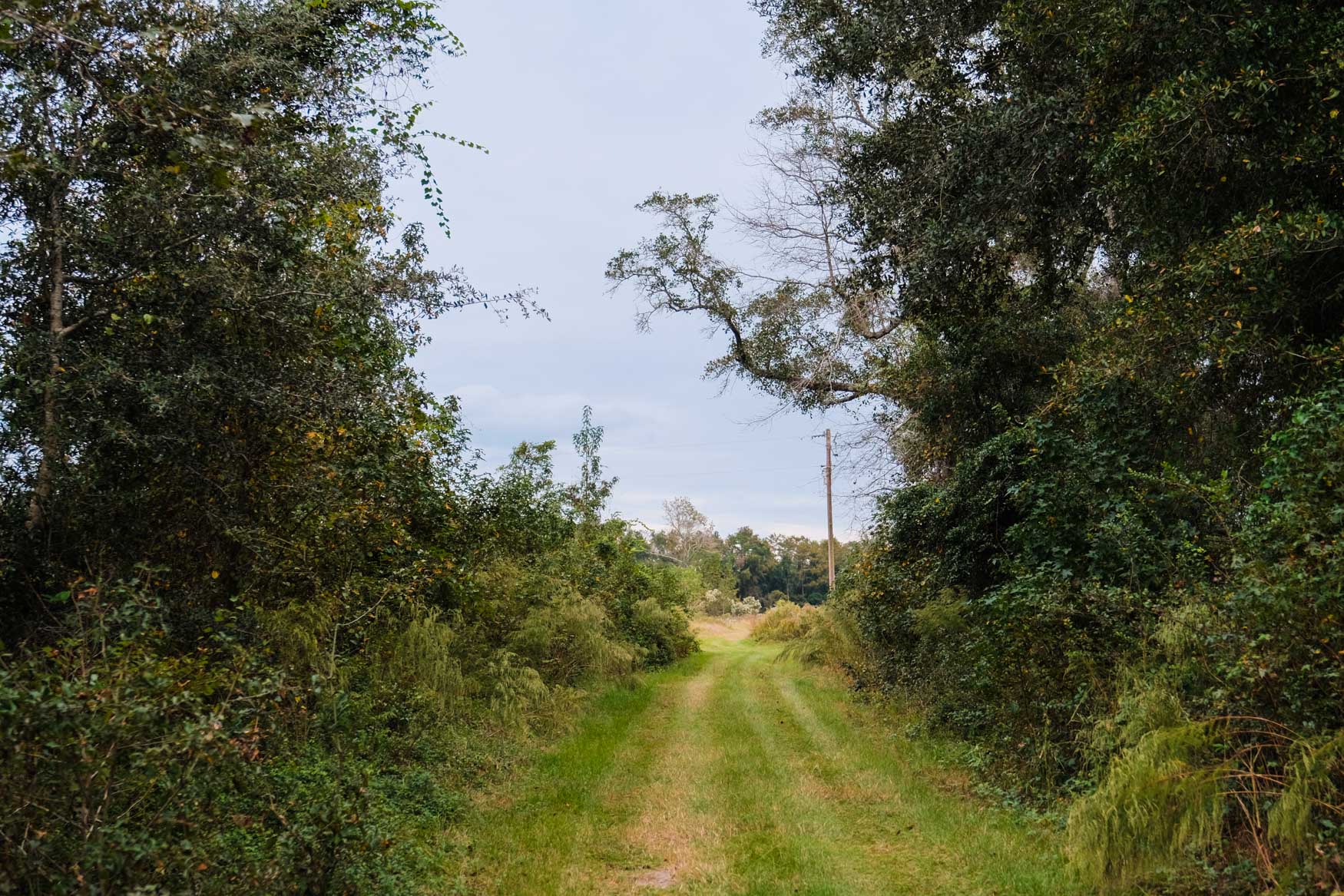 Baxter Durrence Farm Photo