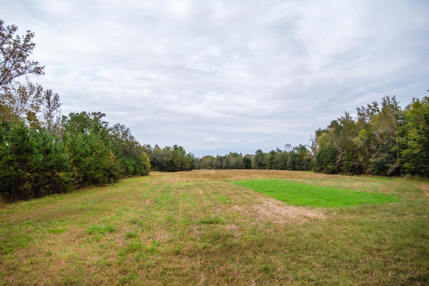 Baxter Durrence Farm Photo